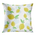thumbnail image 1 of EREHome Lemon Pattern Yellow Bright Summer Design on The Trend Grunge Line Pillowcase Cushion Cases 18x18 inch, 1 of 1