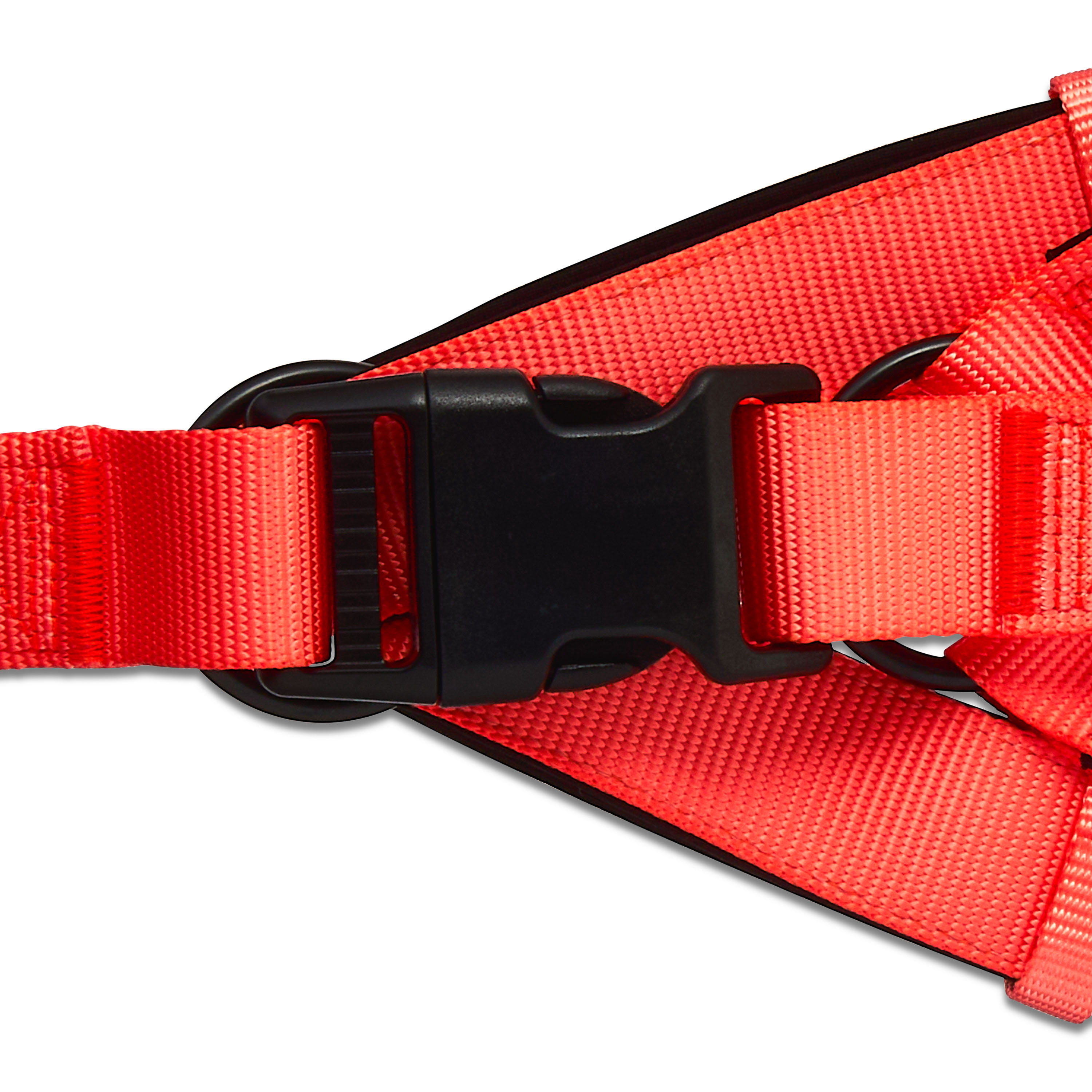 Vibrant Life Polyester Adjustable Step-in Dog Harness, Coral, S