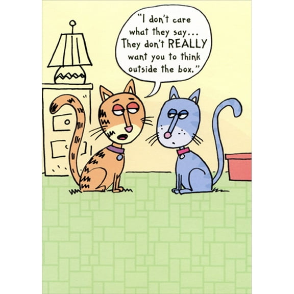 Designer Greetings Two Cats : Don't Think Outside the Box Funny / Humorous Birthday Card