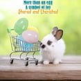 thumbnail image 3 of Pastel Empty Easter Eggs (bulk set of 144 plastic eggs) Easter Hunt and Party Supplies, 3 of 6