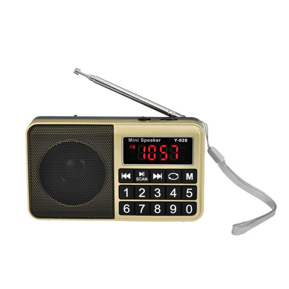 FM Portable Radio,Shortwave Radio with The Best Receiving Effect,Headset Output/AUX Input/MP3/External Speaker/TF Card,Stores Stations Automatically and Powered by Lithium Battery