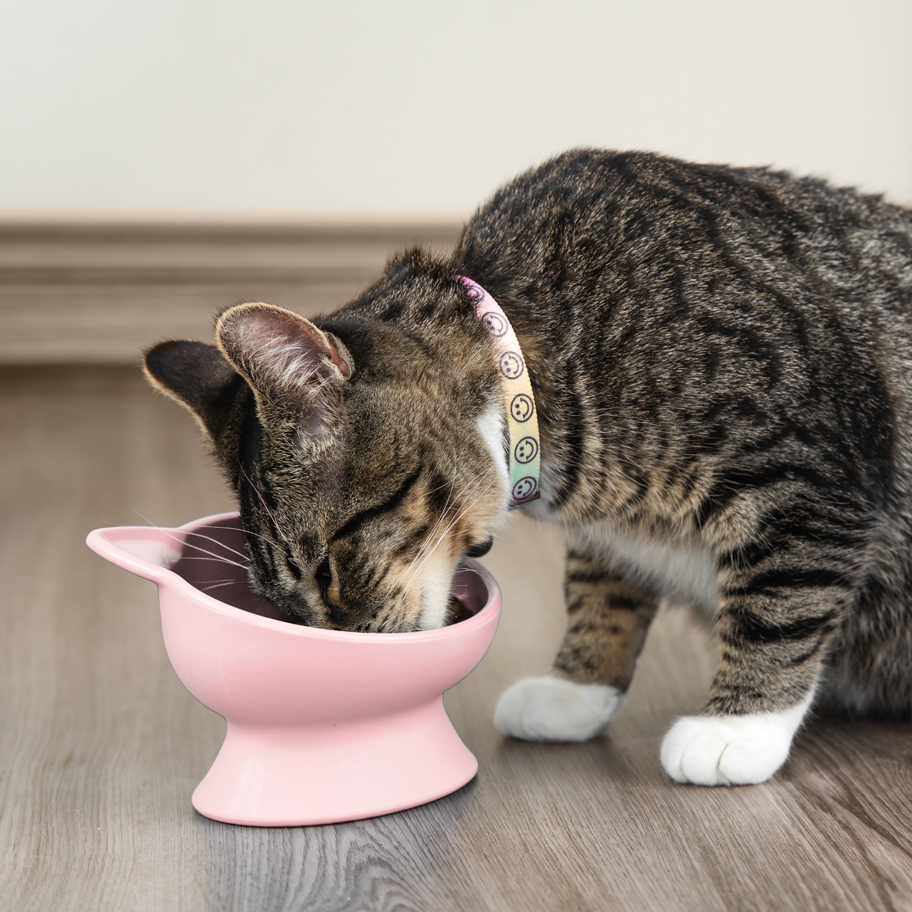 Vibrant Life Plastic Elevated Cat Ear Feeding Bowl, Pink