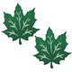 thumbnail image 1 of unbranded 2Ud Manteles Individuales Para Con Protector Y De Hojas De Arce Verde Para Cena, 1 of 5