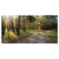 thumbnail image 2 of Road Through Green Pine Forest, 2 of 3
