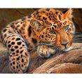 thumbnail image 2 of Kits de pintura al óleo de leopardo por números, cuadro de lienzo, arte de pared, manualidades para colorear DIY Likrtyny decoración de arte, 2 of 9