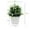A, variant on 1Pack Mini Artificial Plastic Potted Fake Plants for Home Decor, Indoor Small Faux Topiaries for Room, Office Desk, Bathroom Greenery Decoration, Perfect for Home Decorative Gift
