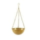 thumbnail image 1 of Macetas colgantes de metal Yuarrent para interiores y exteriores Cesta colgante de flores dorada S, 1 of 6