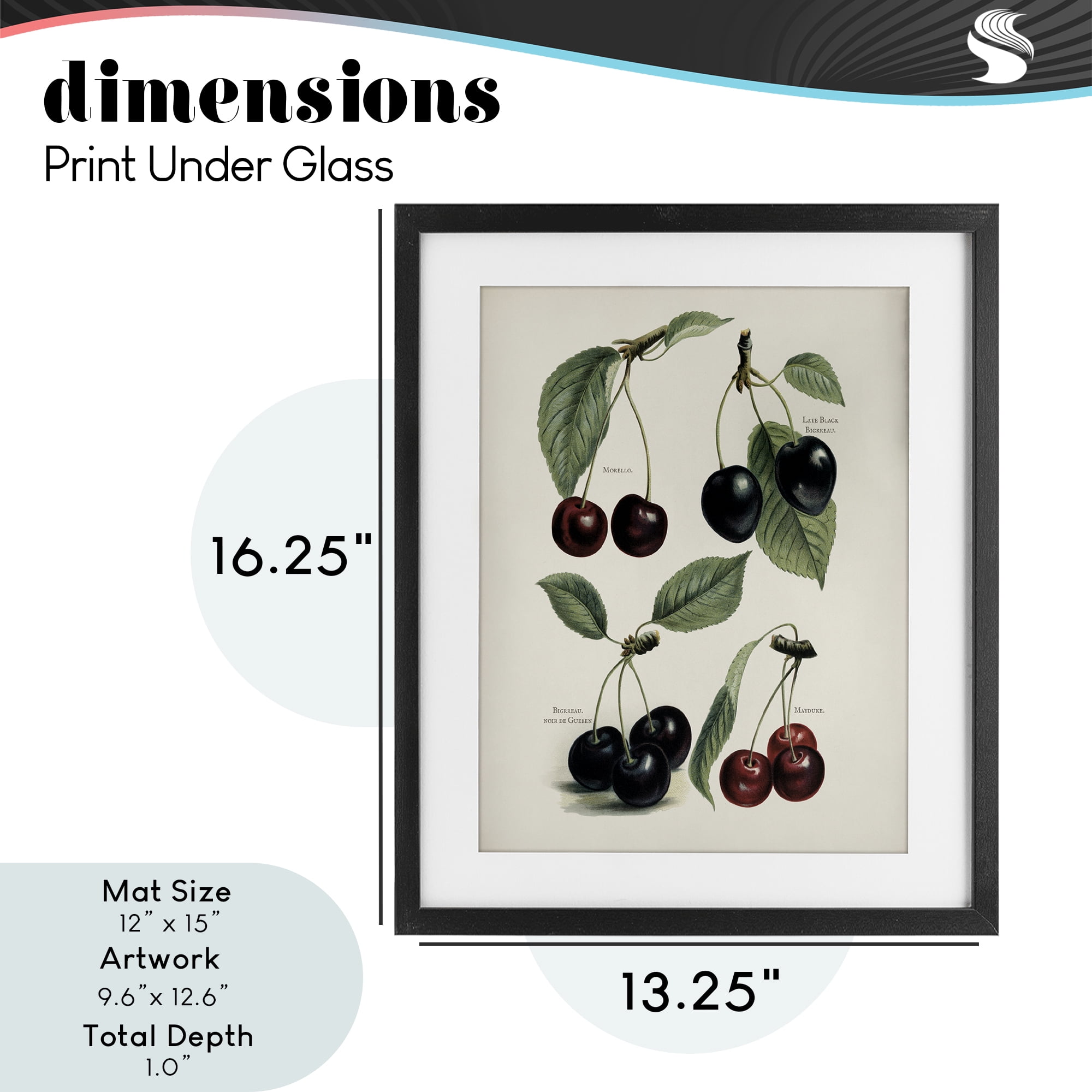 Natural Detailed Cherry Studies Black Framed Print Under Glass, design by Lettered and Lined