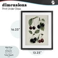 thumbnail image 4 of Stupell Industries Traditional Natural Detailed Cherry Studies Black Framed Print Under Glass, 13 x 16, by Lettered and Lined, 4 of 8