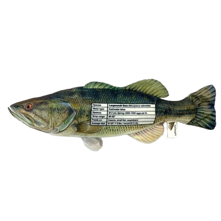 Largemouth Bass - Walmart.com