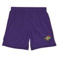 thumbnail image 3 of Space Jam Logo Mens Lined Mesh Shorts, Purple, Large, 3 of 6