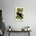 thumbnail image 2 of Great Big Canvas "Raven"  by John James Audubon Black Dark Forest Green   Wrapped Canvas Print Wall Artwork, 2 of 7