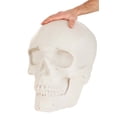 thumbnail image 3 of Oversized Skull Lantern Decoration, 3 of 11
