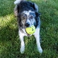 thumbnail image 3 of Pelota Mediana KONG Reflex para Perro, 3 of 4