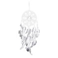 thumbnail image 1 of Hojas Flores Plumas Blancas Colgante Decoración Dormitorio Sala de Estar Homestay Decoración de Pared Decoración de Pared, 1 of 8