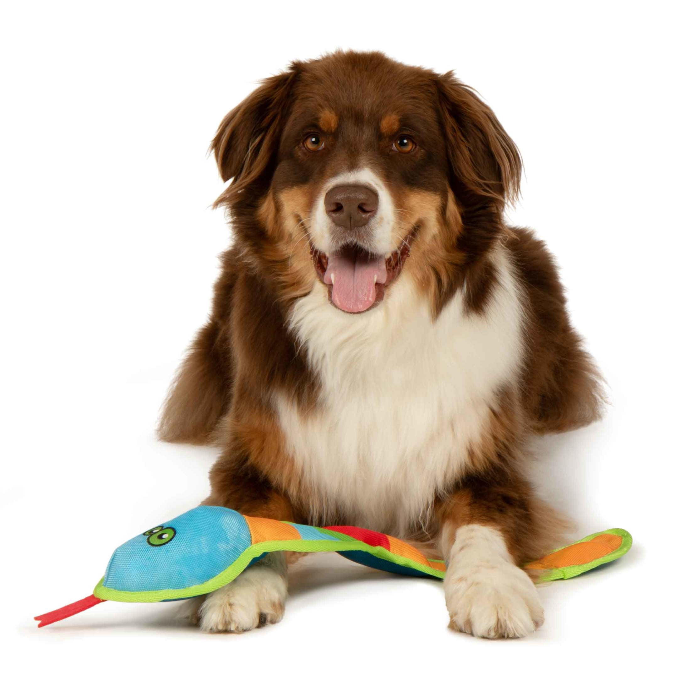 goDog Flap ‘N Fun Vince Viper Snake Squeaky Dog Toy, Plush with Chew Guard Technology, Multi-Colored, Large