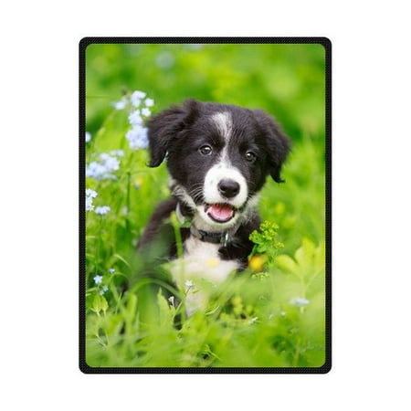 Collie Embroidered Fleece - CADecor Border Collies Black Puppy Fleece Blanket Bedroom Wrap Throw 58x80 inches