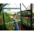thumbnail image 6 of Palram - Canopia Hybrid 6' x 8' Polycarbonate/Aluminum Walk-In Greenhouse – Green - with Roof Vent, 6 of 14