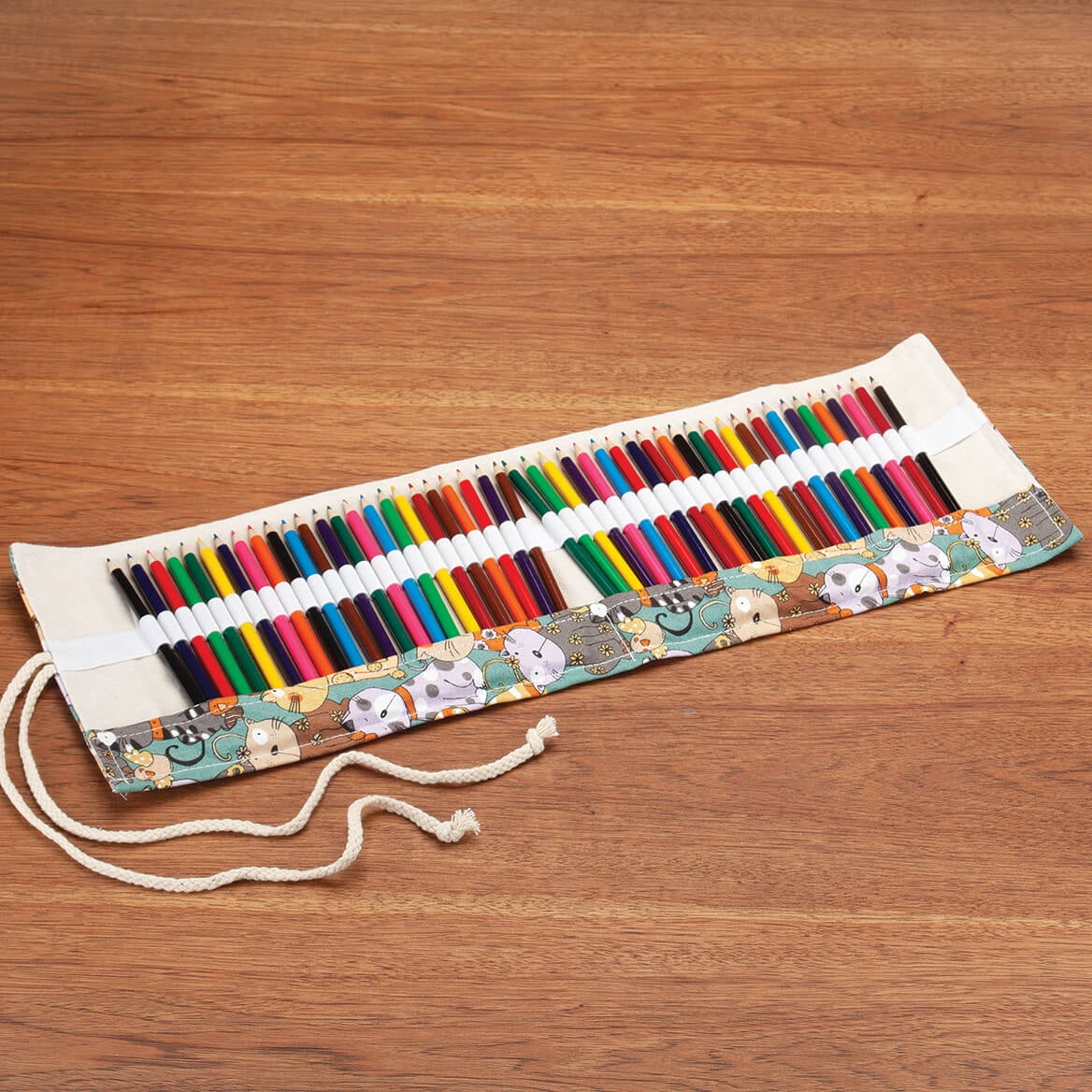 Colored Pencil Cats Roll 48-Pc. Set