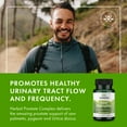 thumbnail image 2 of Swanson Saw Palmetto Men Prostate Health Hormone Support Urinary Health 160 Milligrams 120 Sgels, 2 of 8