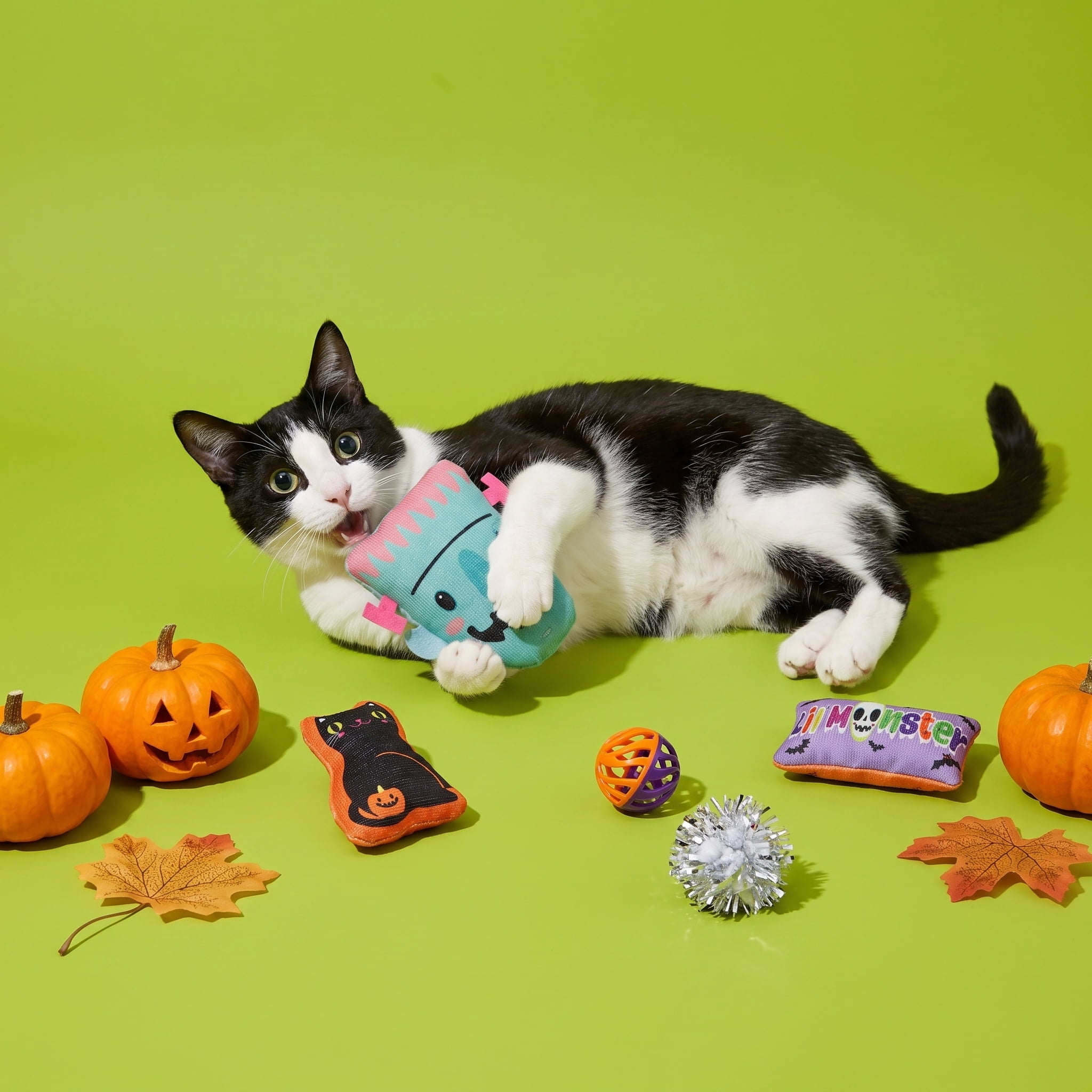 Vibrant Life Halloween Assorted Frankenstein Cat Toys, 12 Pieces