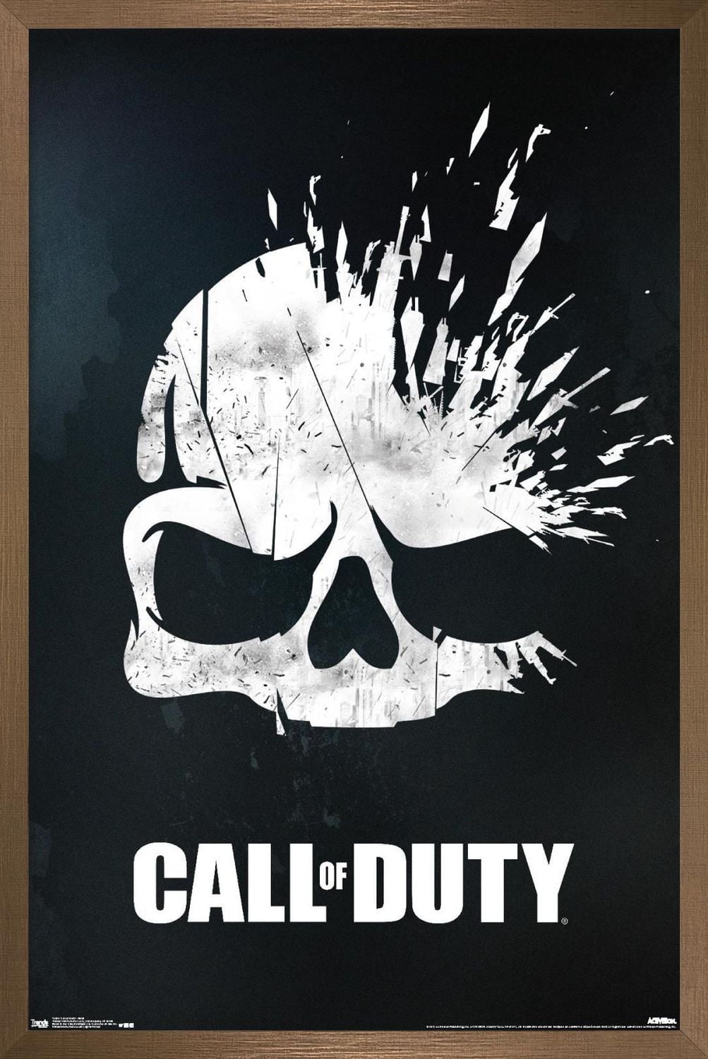 Call of Duty - Skull Wall Poster