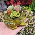 thumbnail image 4 of MesaSe Mini Pots de Plantes pour Succulentes Frog Pots de Plantation Pots Créatifs en Résine Micro Paysage Simulation Mignon Pot de Fleurs Extérieur Intérieur Maison Patio Cour Déco 4.4*4*1.9 Pouces, 4 of 9