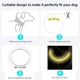 thumbnail image 3 of Collar de perro intermitente con luz recargable por USB, longitud ajustable, collar intermitente impermeable cortable para perros, 3 modos, para perros pequeños, medianos y grandes (, 3 of 5