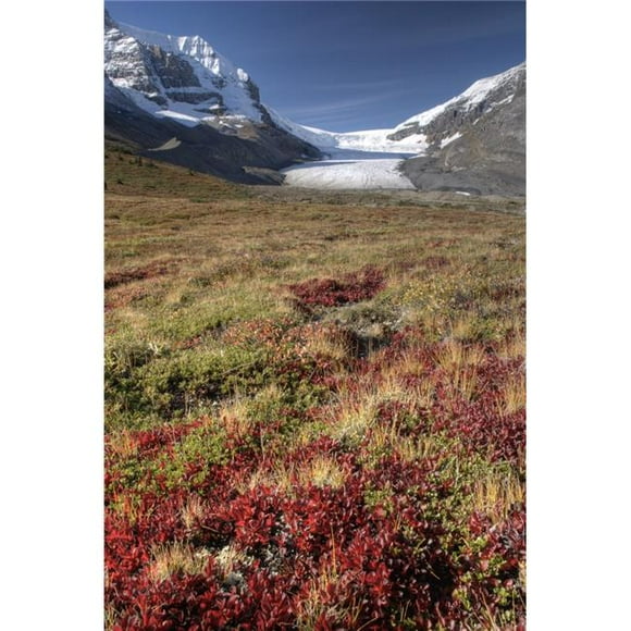 Posterazzi DPI1837160 Columbia Icefield Jasper National Park Alberta Canada Poster Print, 11 x 17
