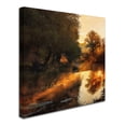 thumbnail image 2 of Trademark Fine Art 'When Nature Paints With Light' Canvas Art by Leicher Oliver, 2 of 3
