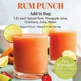 Frozen Cocktail Drink Mix Makes 10 Rum Punch Slushies Drink Powder