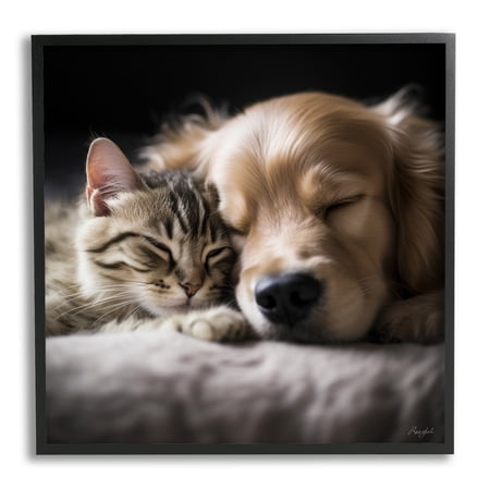 Stupell Industries Cat & Dog Photography Animals & Insects Photography Black Framed Art Print Wall Art 12 x 12