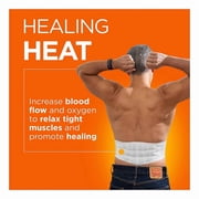 ThermaCare Lower Back & Hip HeatWraps - L/XL, 10 ct.