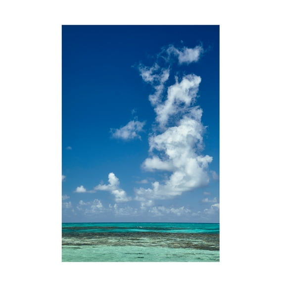 Canvas Wall Art - Kent Burkhardsmeier 'Coral Blue' Wall Art for Living Room, Bedroom, or Office Décor by Trademark Fine Art - 12 x 19 Inches