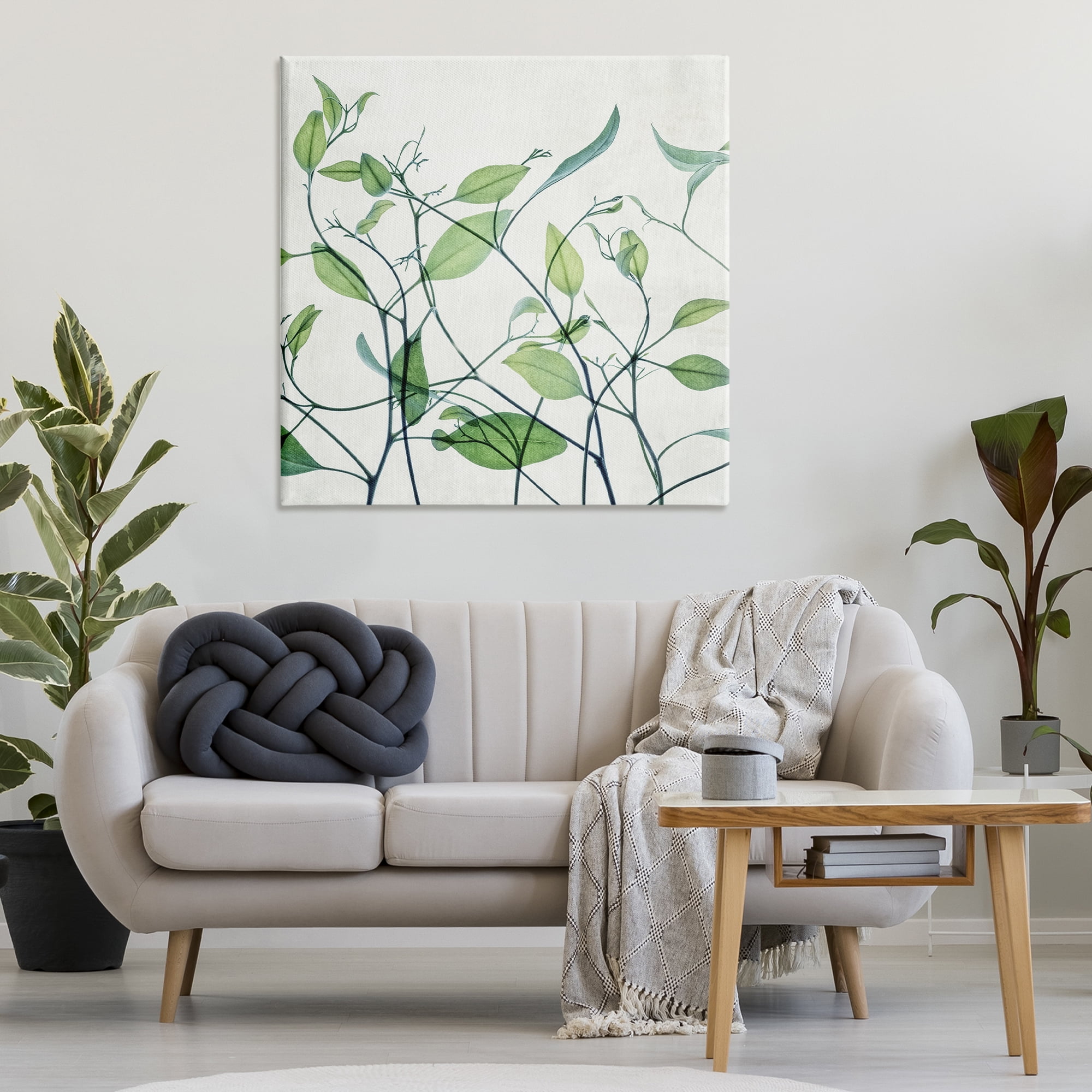Stupell Industries Modern Vine Pattern Botanical & Floral Painting Gallery Wrapped Canvas Art Print Wall Art, 36 x 36