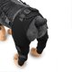 thumbnail image 5 of Dog Rear Leg Support For Back Hind Legs Knee Brace Mediucal Pet Injury Arthritis, 5 of 5
