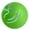Green, variant on Smart Dog Ball Toy - Glowing Jumping Ball with Motion Sensor, 4 Vibration Modes & Chew-Proof TPU for Indoor/Outdoor Play (2.2'' ，Size/Style as Pictured)