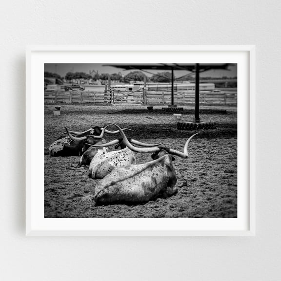 The Stockyard - Fort Worth Texas Photography Black and White Rustic Farmhouse Rural Nature Landscape Vintage White Framed Wall Art Print 8 x 10 inches