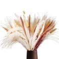 thumbnail image 1 of Boho Decor Pampas Grass 70 piezas 17 pulgadas flores secas pomposas Afortunado Sencillez, 1 of 4