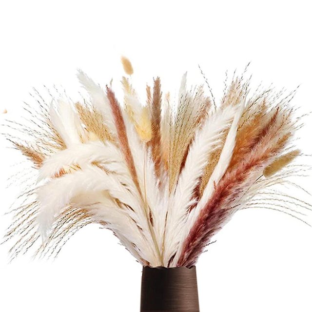 Boho Decor Pampas Grass 70 piezas 17 pulgadas flores secas pomposas Afortunado Sencillez