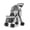 champagne, variant on golytefs Double Pet Stroller for Small Cats And Dogs Foldable Kittens Puppies Travel Strolling Cart with Safety Belts Cup Holder & Lockable Wheels Dog Stroller Ideal for Multi-pet Families (Black)