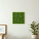 thumbnail image 3 of ColoMX 3 piezas de follaje artificial para decoración de pared, musgo falso., 3 of 7