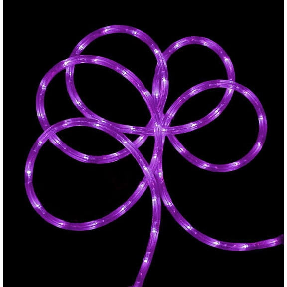 Northlight LED Commercial Grade Outdoor Christmas Spool Rope Lights - Purple - 288' Clear Wire