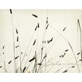 thumbnail image 2 of Melious, Amy 18x15 White Modern Wood Framed Museum Art Print Titled - Grass Balance, 2 of 4