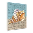 thumbnail image 2 of Seashell I By Shanni Welsh, 25" x 25" Fine Art Giclee Print on Gallery Wrap Canvas, Ready to Hang, 2 of 2