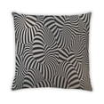 thumbnail image 2 of Ahgly Company Coussin d'Intérieur à Motif Rayé Abstrait, 18 Pouces par 18 Pouces, 2 of 6