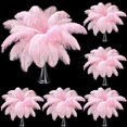 thumbnail image 1 of Plumas de avestruz Berlune, 150 unidades, naturales, 30-35 cm, rosa, 1 of 6