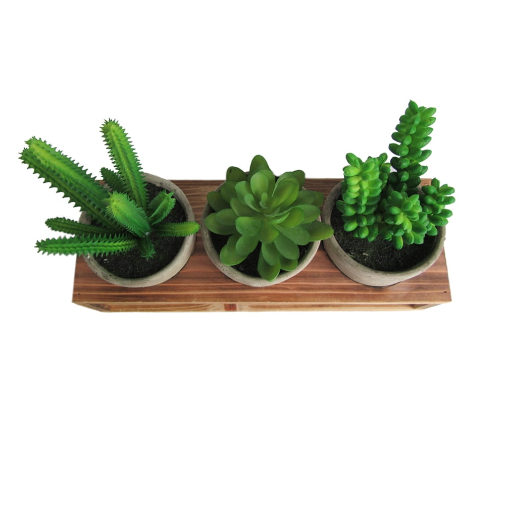 Artificial Succulent 3 Pieces Assorted Potted Fake Green Plant in Cement Pot
