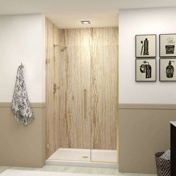 Transolid Ehtb46287610c-T Elizabeth 76" High X 46" Wide Hinged Semi Frameless Shower Door