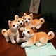 thumbnail image 5 of 25 estilos de juguetes de peluche de perro Akita de simulación, adorables muñecos de perro, juguetes de animales de peluche suaves, regalo de cumpleaños y Navidad para niña y niño, 5 of 5